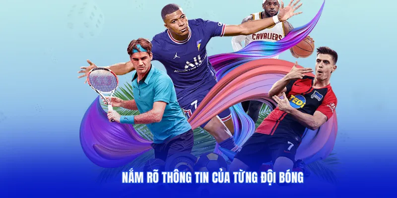 Nắm rõ thông tin của từng đội tuyển tham gia thi đấu